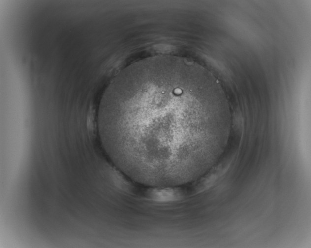 X0000113030181200909031259