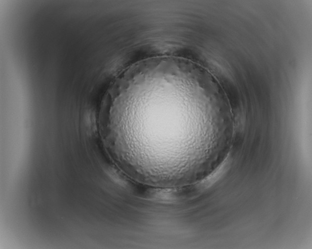 X0000113030182200909031259