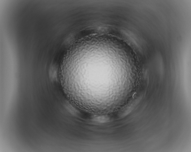 X0000113030185200909031259