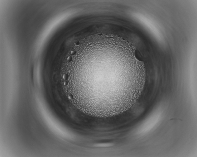 X0000113030189200909031259