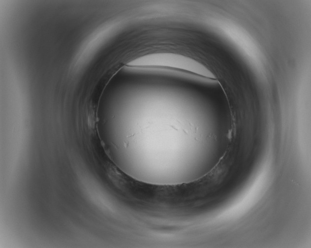 X0000113030190200909031259