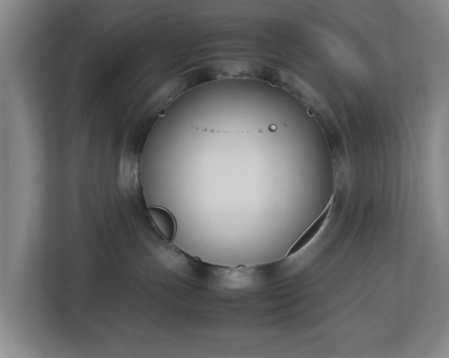 X0000113030191200909031259