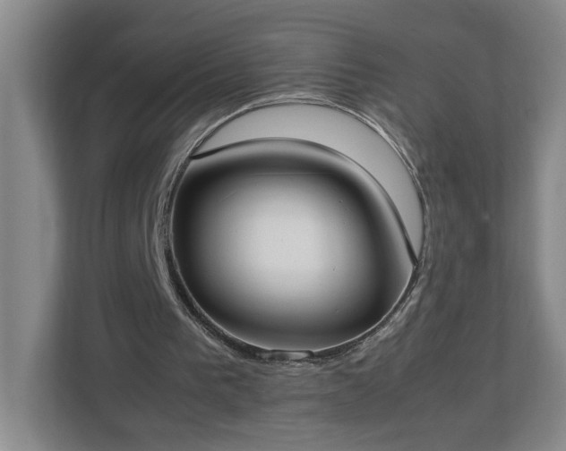 X0000113030193200909031258