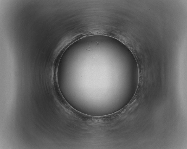 X0000113030194200909031258