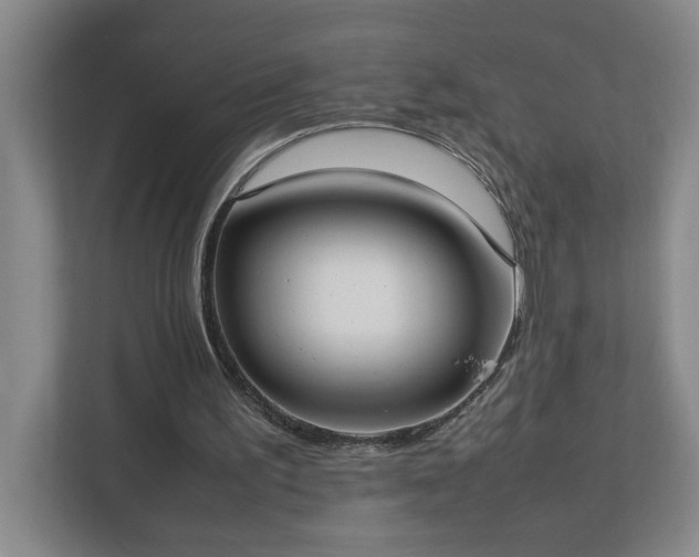 X0000113030195200909031258