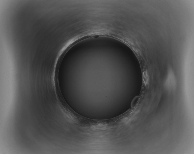 X0000113030196200909031258