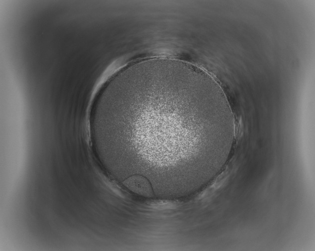 X0000113030198200909031258