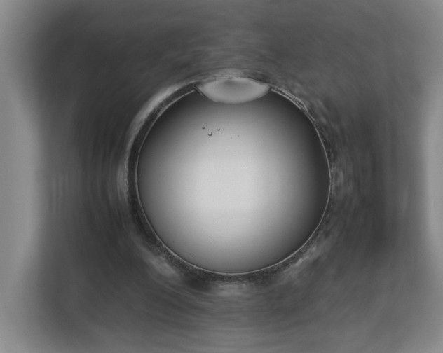 X0000113030200200909031258