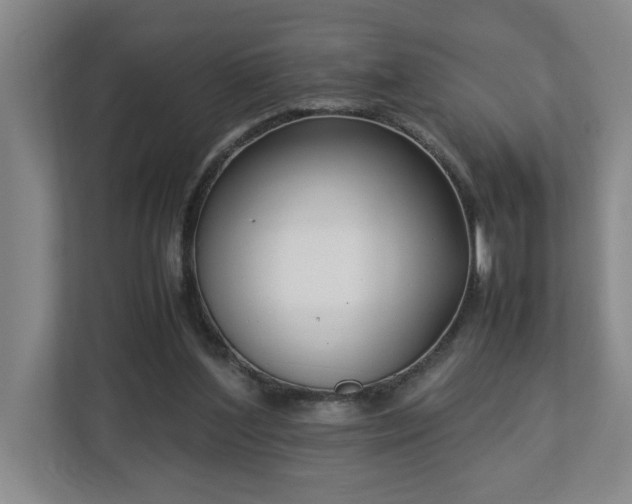 X0000113030204200909031258