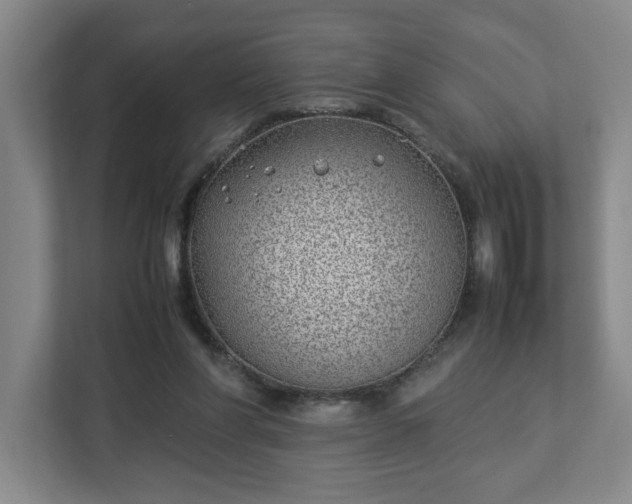 X0000113030206200909031258