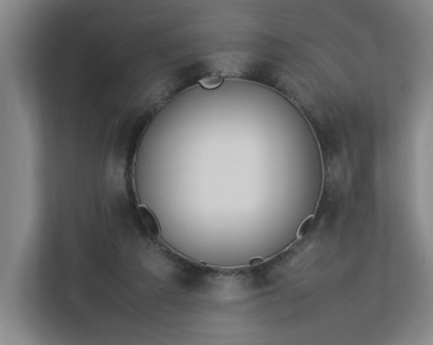 X0000113030209200909031258