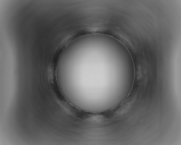 X0000113030210200909031258