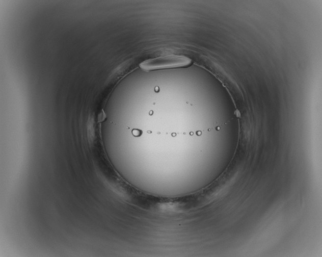 X0000113030216200909031258