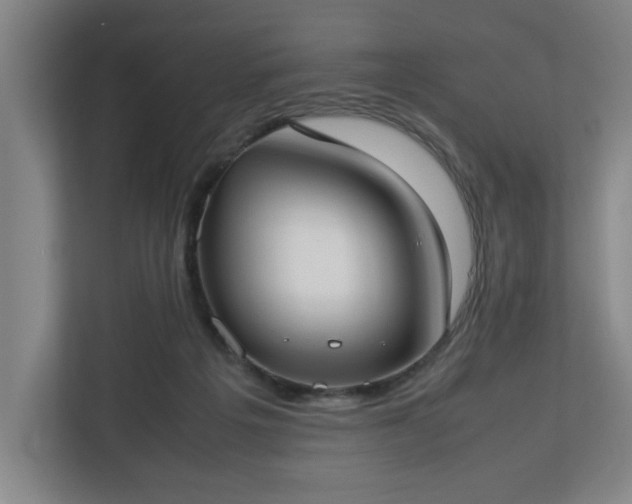 X0000113030217200909031258