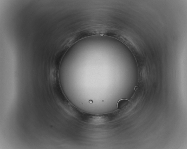 X0000113030218200909031258