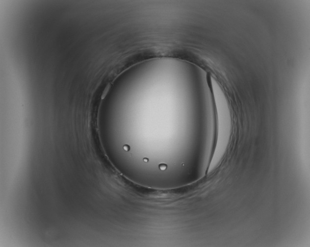 X0000113030221200909031258