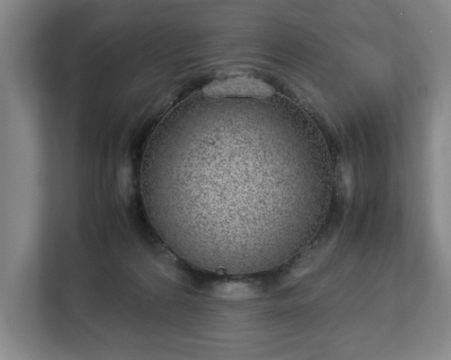 X0000113030224200909031258