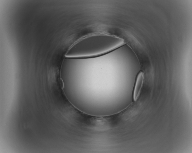 X0000113030229200909031258