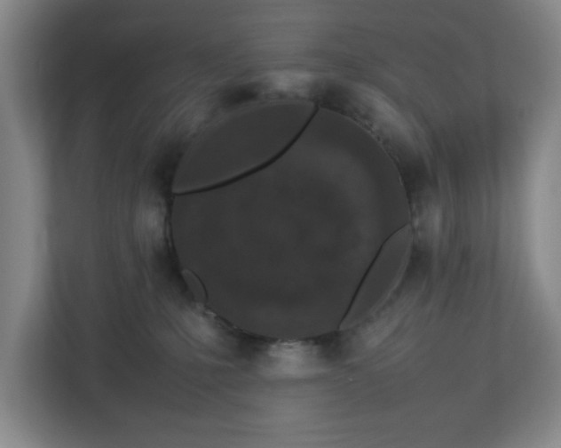 X0000113030231200909031258