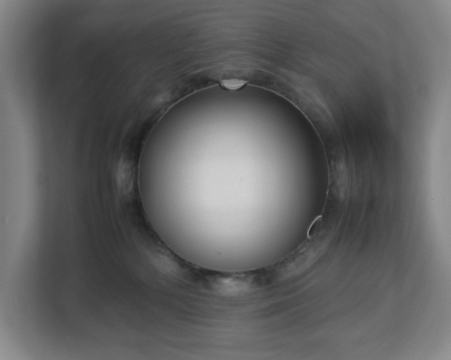 X0000113030232200909031258