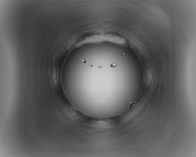 X0000113030236200909031258