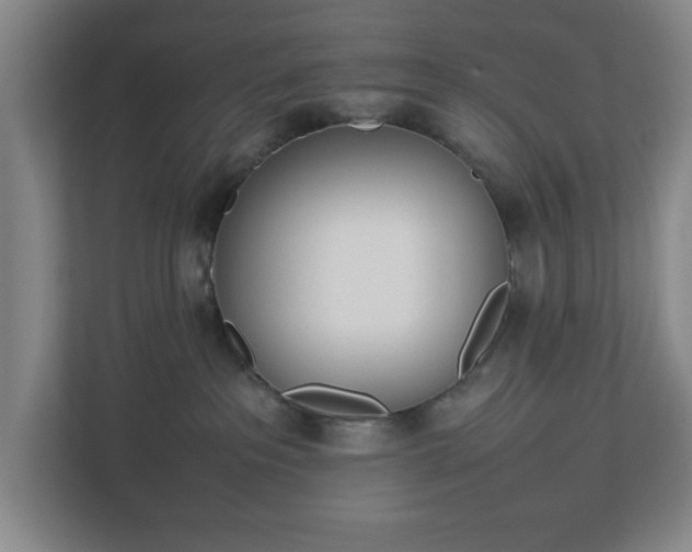 X0000113030237200909031258