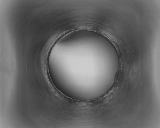 X0000113030241200909031257