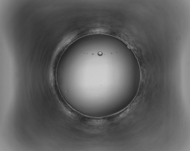 X0000113030245200909031257