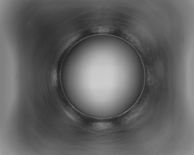 X0000113030251200909031257