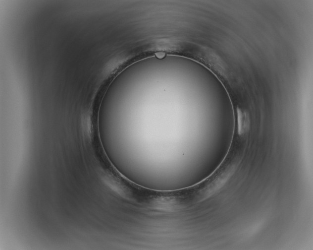 X0000113030252200909031257