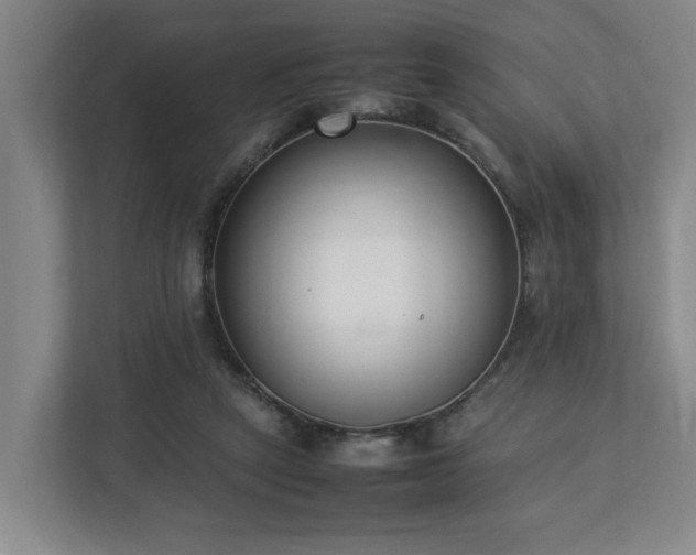 X0000113030257200909031257