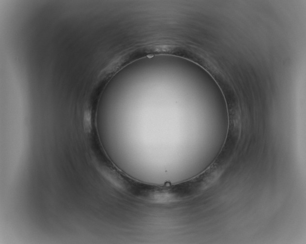 X0000113030262200909031257