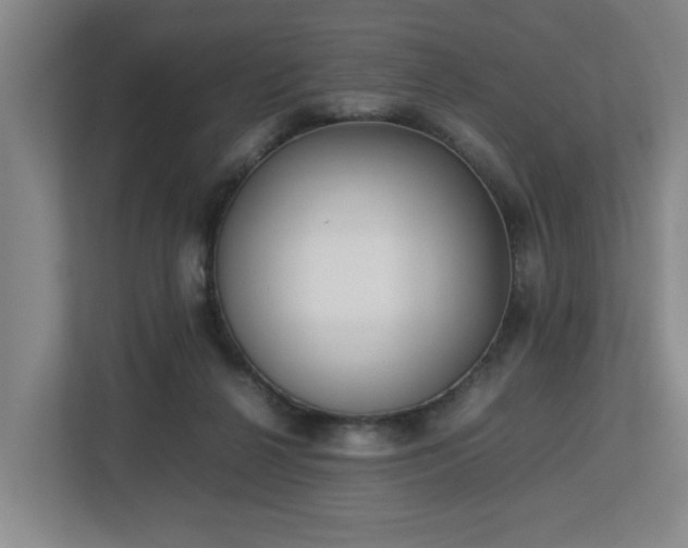 X0000113030264200909031257