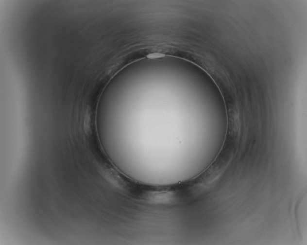 X0000113030266200909031257