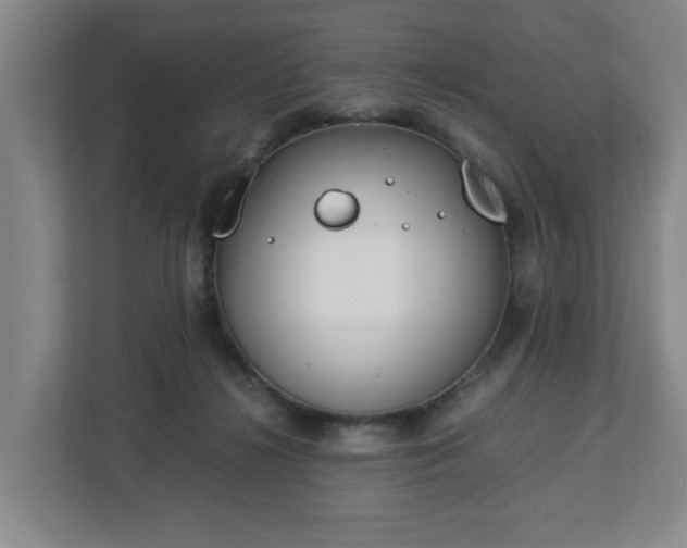 X0000113030268200909031257