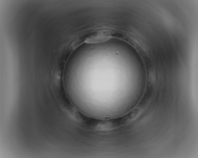 X0000113030271200909031257