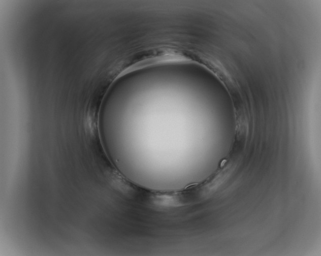 X0000113030285200909031258