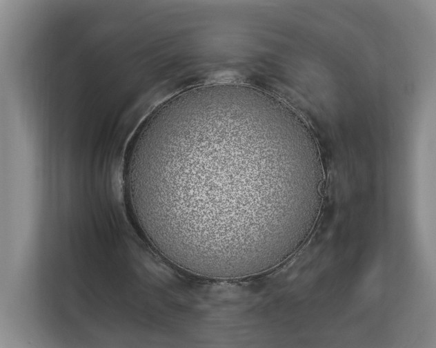 X0000113030290200909031257