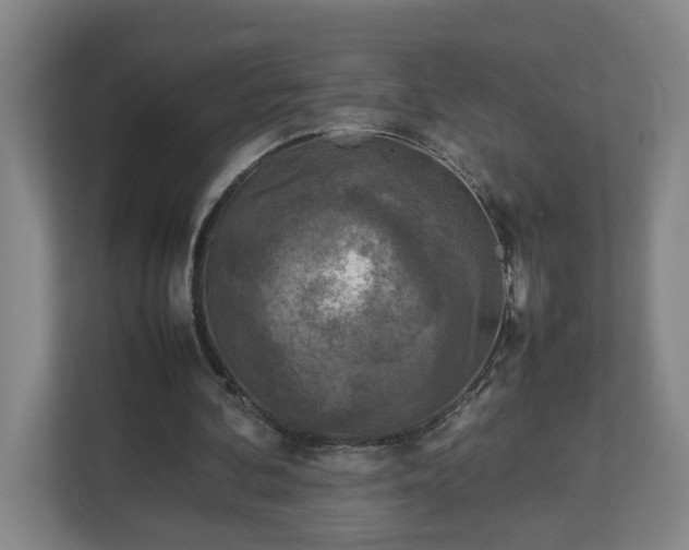 X0000113030292200909031257