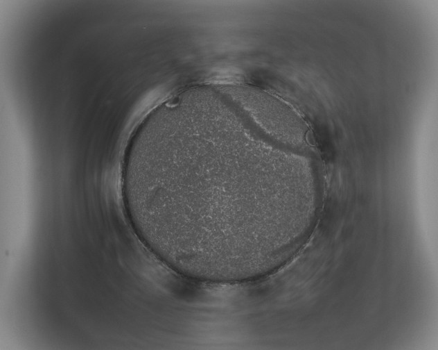 X0000113030293200909031257