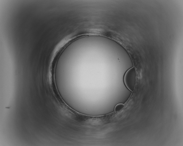 X0000113030294200909031257