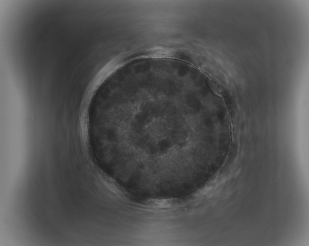 X0000113030295200909031257