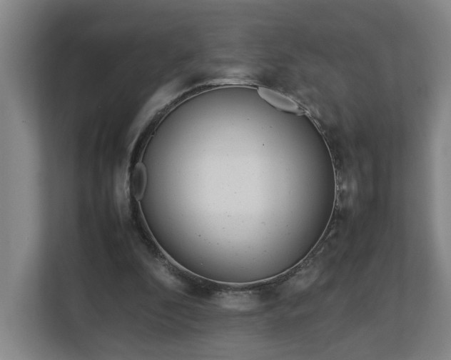 X0000113030296200909031257