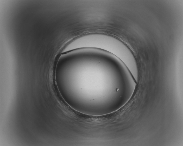 X0000113030297200909031257