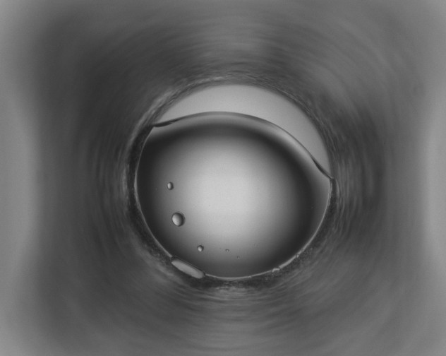 X0000113030300200909031257