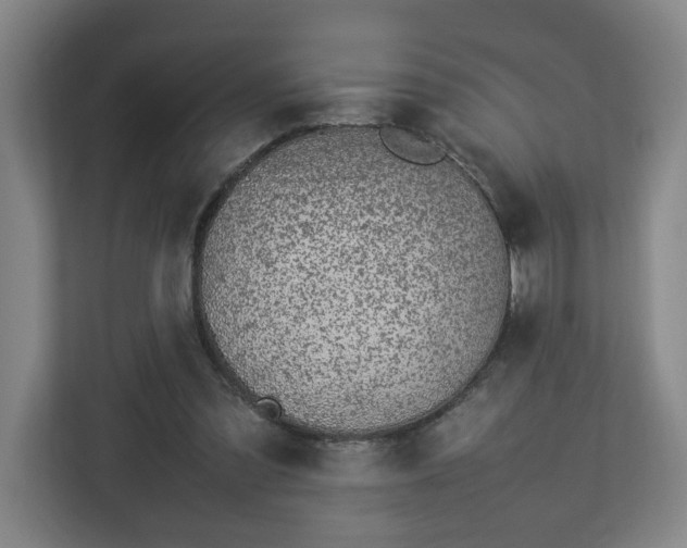 X0000113030301200909031257