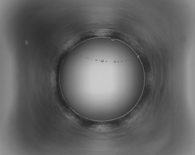 X0000113030303200909031257