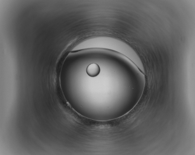 X0000113030304200909031257