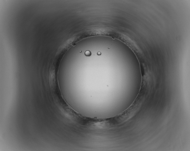 X0000113030306200909031257