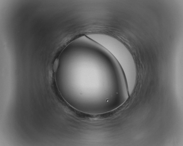 X0000113030309200909031257